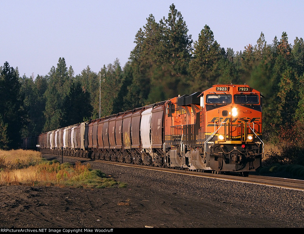 BNSF 7923